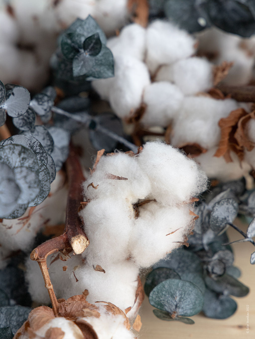Bouquet de fleurs séchées avec fleurs de coton et eucalyptus stabilisé - Bouquet « Douceur »