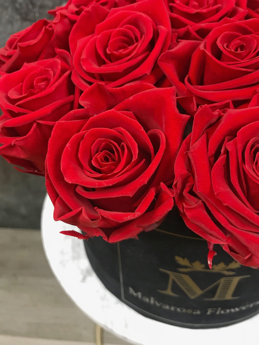 Boîte à fleurs avec rose éternelles rouges - Bouquet de Luxe en boîte en velours noire
