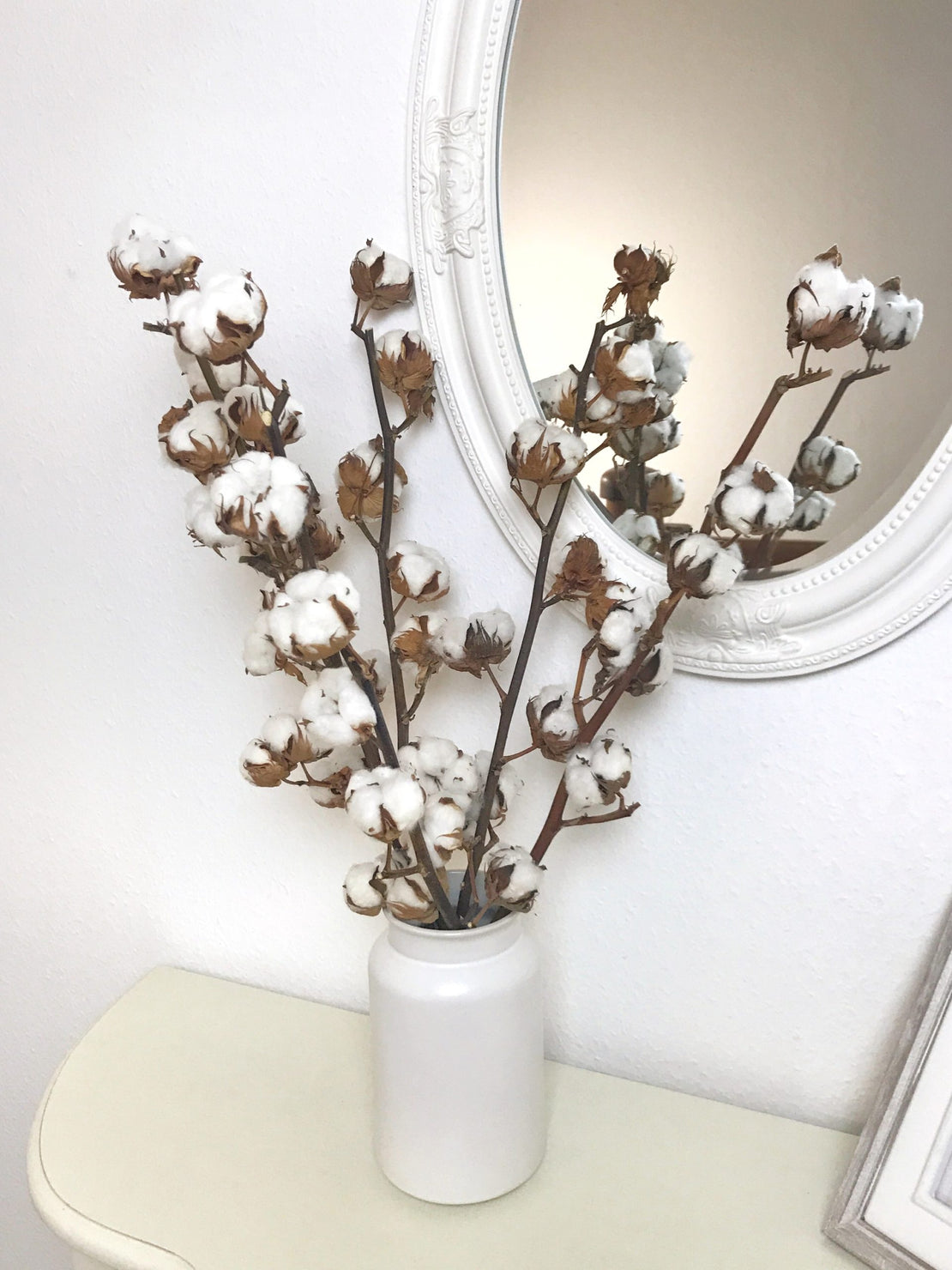 Fleurs séchées de coton à la tige, tige de fleurs de coton séchées naturelle, branches de coton naturel