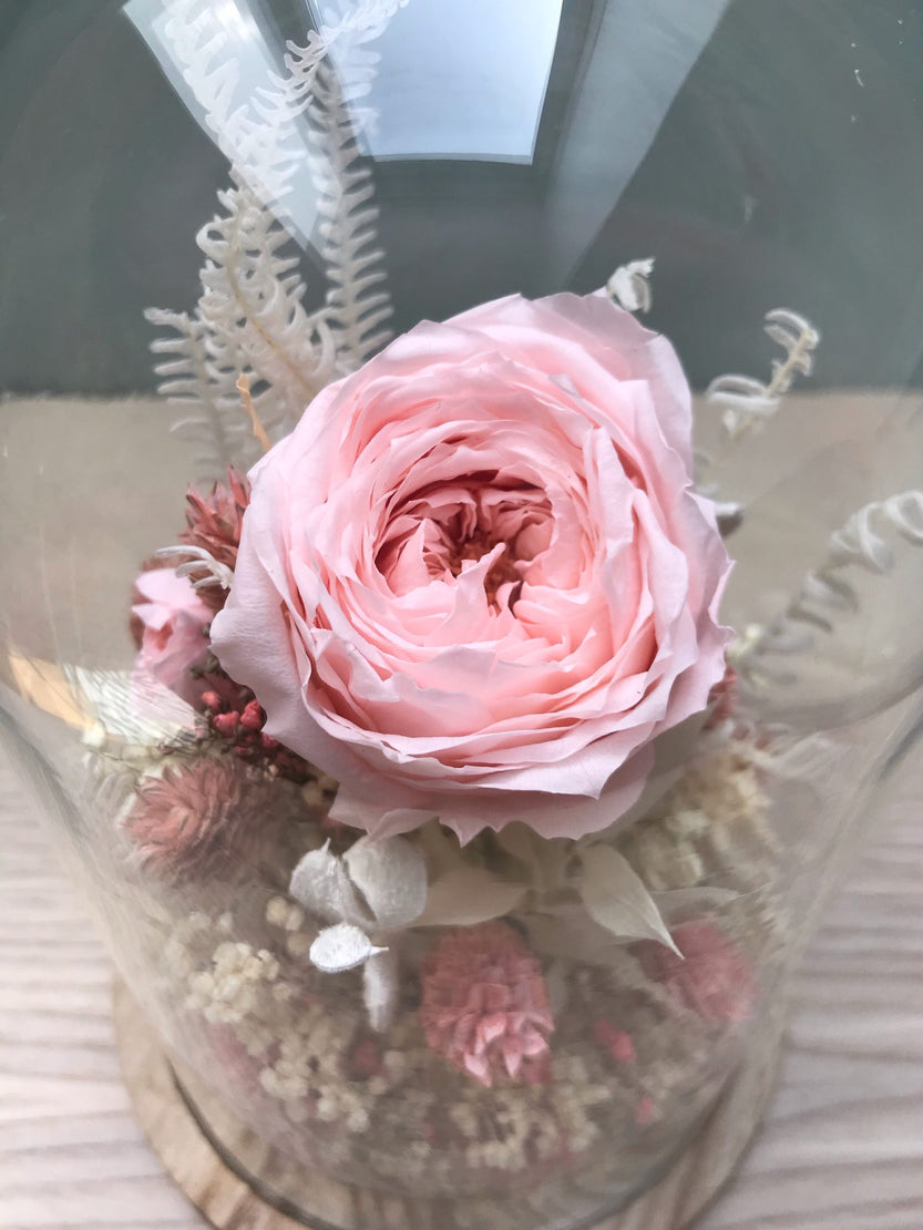 Cloche de fleurs séchées avec rose anglaise stabilisée rose