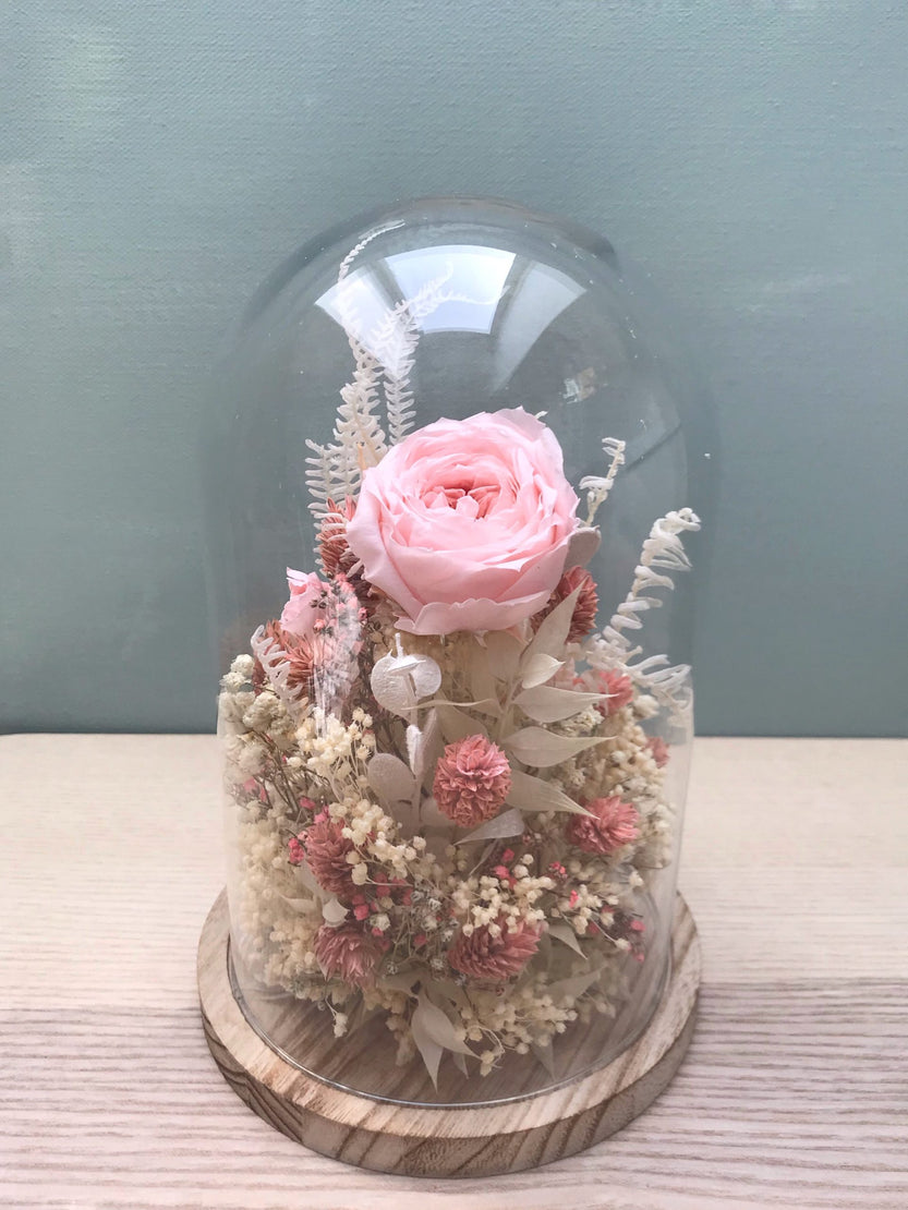 Cloche de fleurs séchées avec rose anglaise stabilisée rose