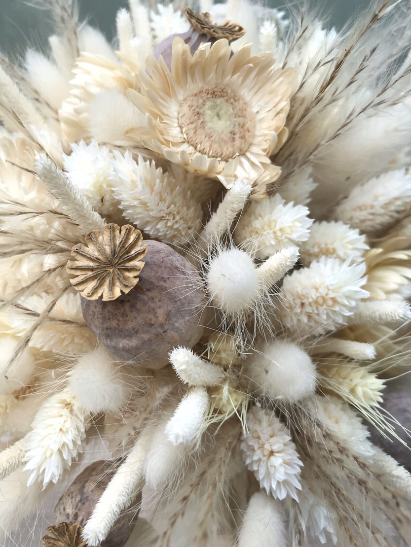 Bouquet de fleurs séchées naturelles couleur blanc crème - Bouquet « Pavot »