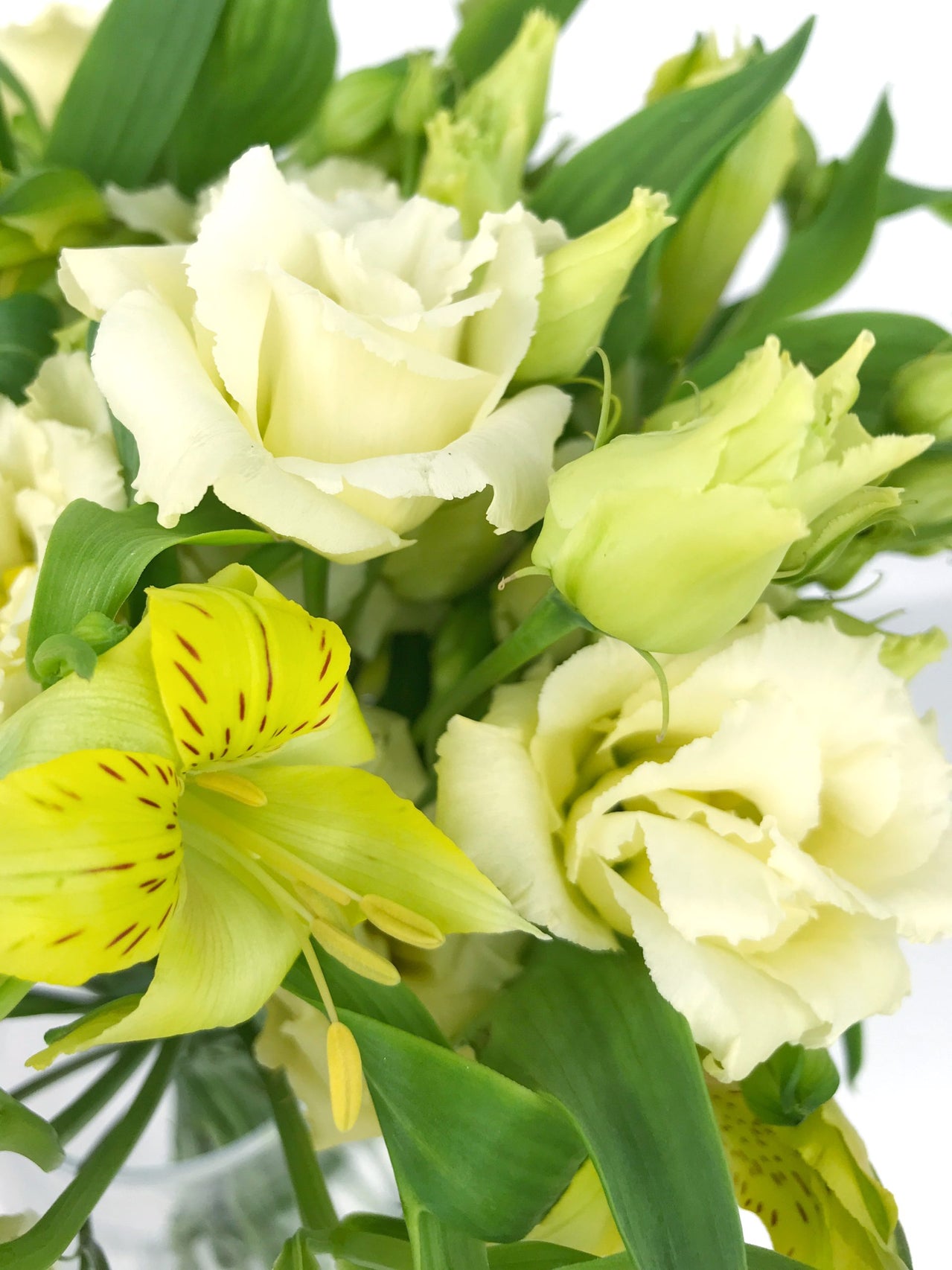 Bouquet de fleurs jaunes - Bouquet 