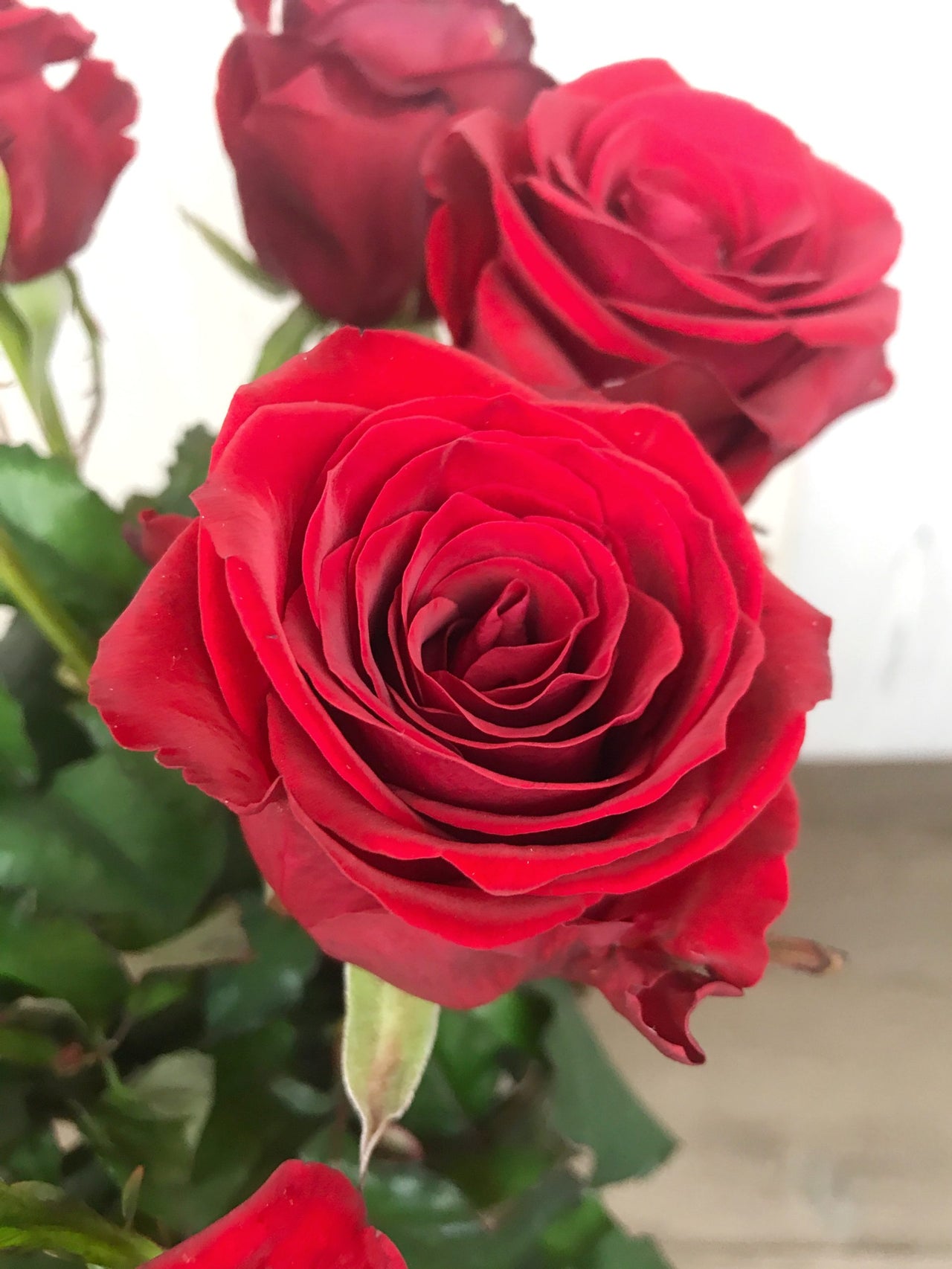 Envoi bouquet de roses rouges - Bouquet de 10 Roses Rouges