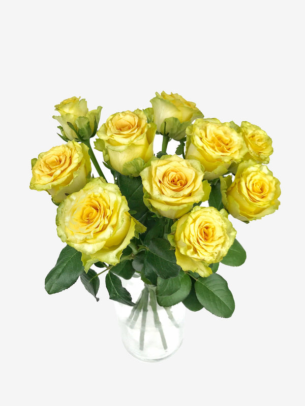 Bouquet of 10 yellow Roses