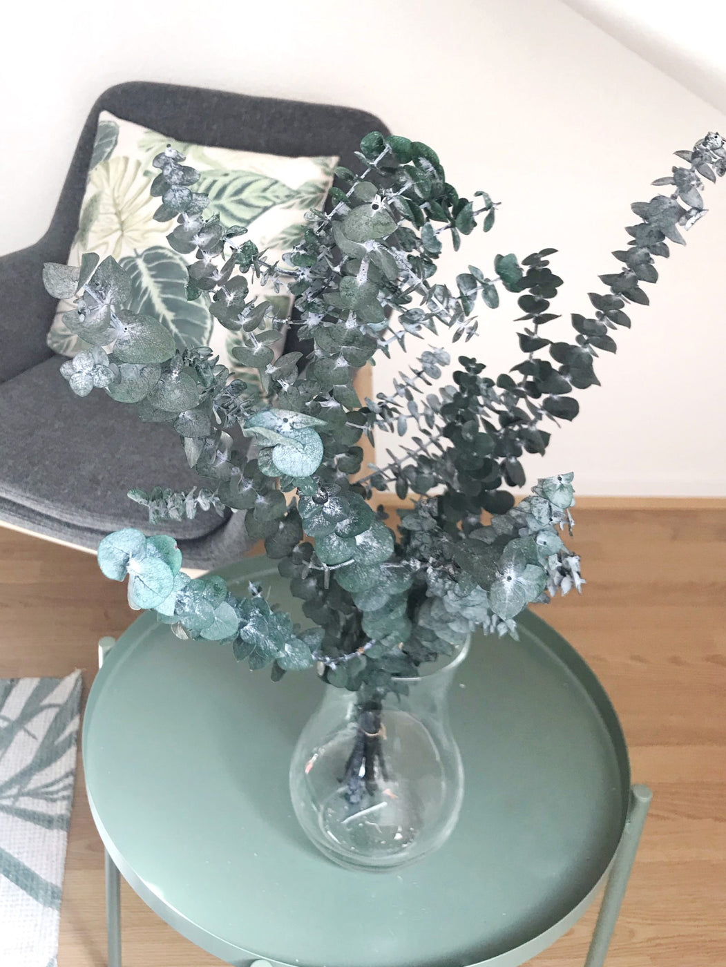 Eucalyptus stabilisé baby bleu, bouquet d’eucalyptus