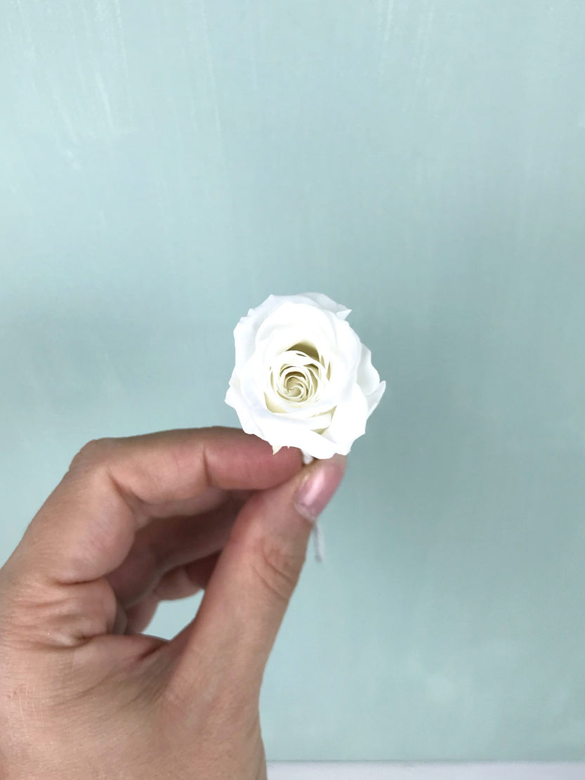 Two small rose spikes stabilized wedding hair decoration, wedding decoration