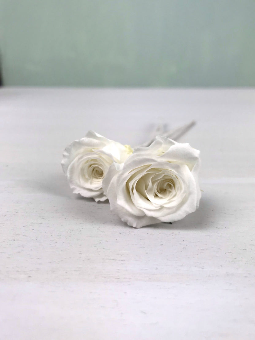 Two small rose spikes stabilized wedding hair decoration, wedding decoration
