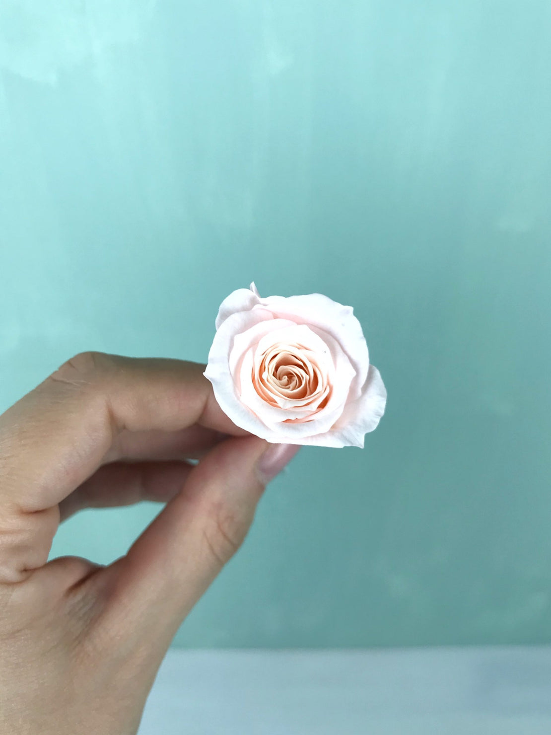 Deux pics petit rose stabilisée décoration de cheveux mariage