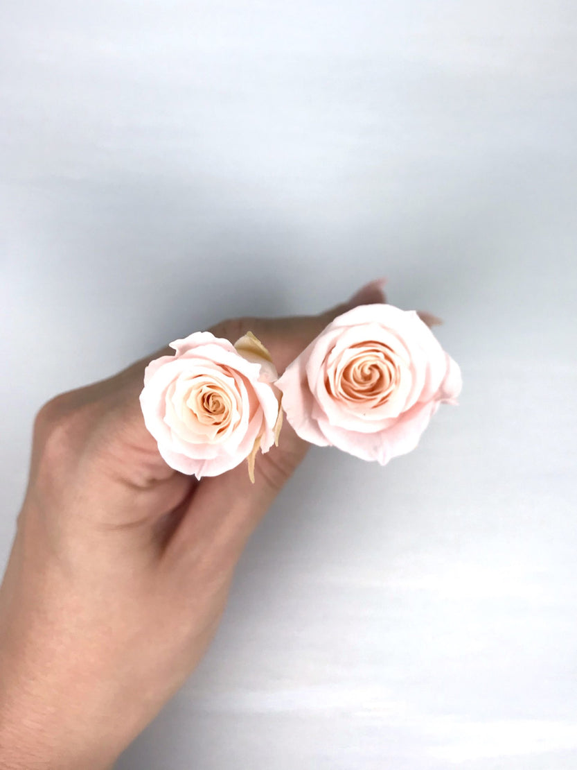 Deux pics petit rose stabilisée décoration de cheveux mariage