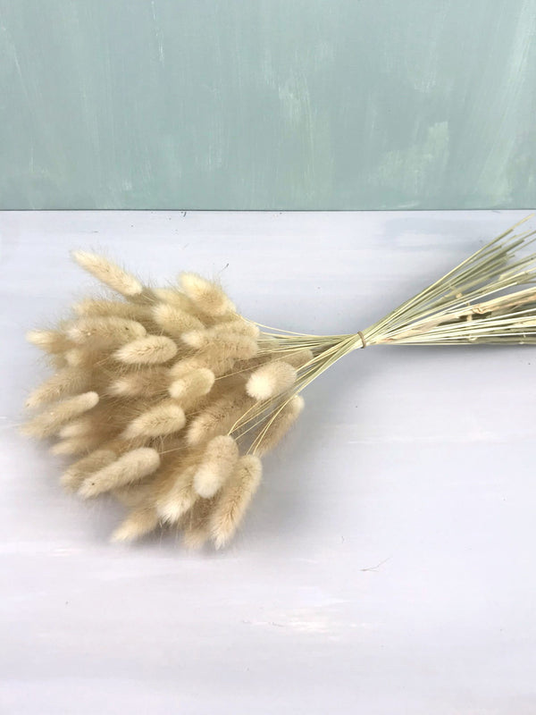 Petit bouquet de lagurus naturel séchée, décoration maison boho