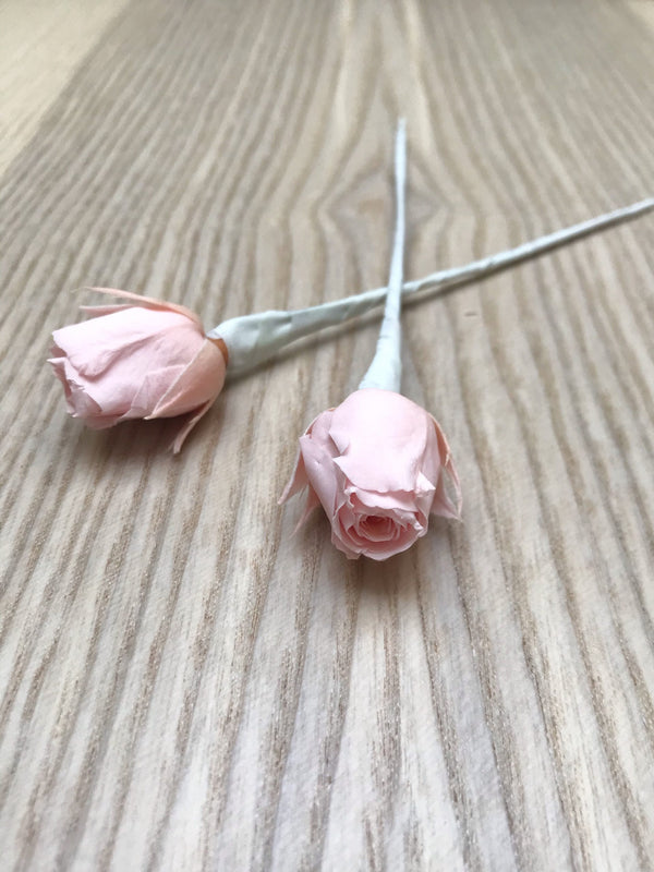 Two stabilized rose button spikes for wedding hair decoration