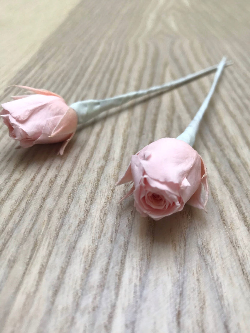 Two stabilized rose button spikes for wedding hair decoration