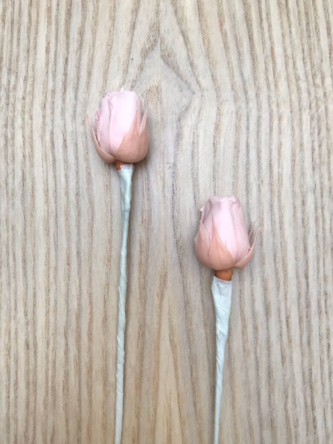 Two stabilized rose button spikes for wedding hair decoration